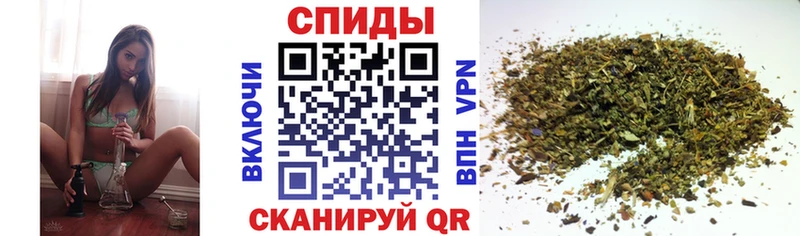 Купить где  Заречный  Бутират буратино 