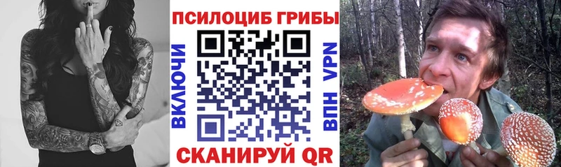 Псилоцибиновые грибы GOLDEN TEACHER  Купить где  Заречный 