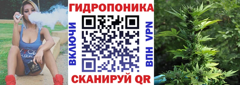 Шишки марихуана OG Kush  Купить  Заречный 